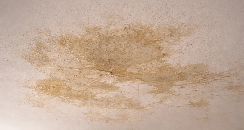 problemas de filtraciones térmicas y humedad