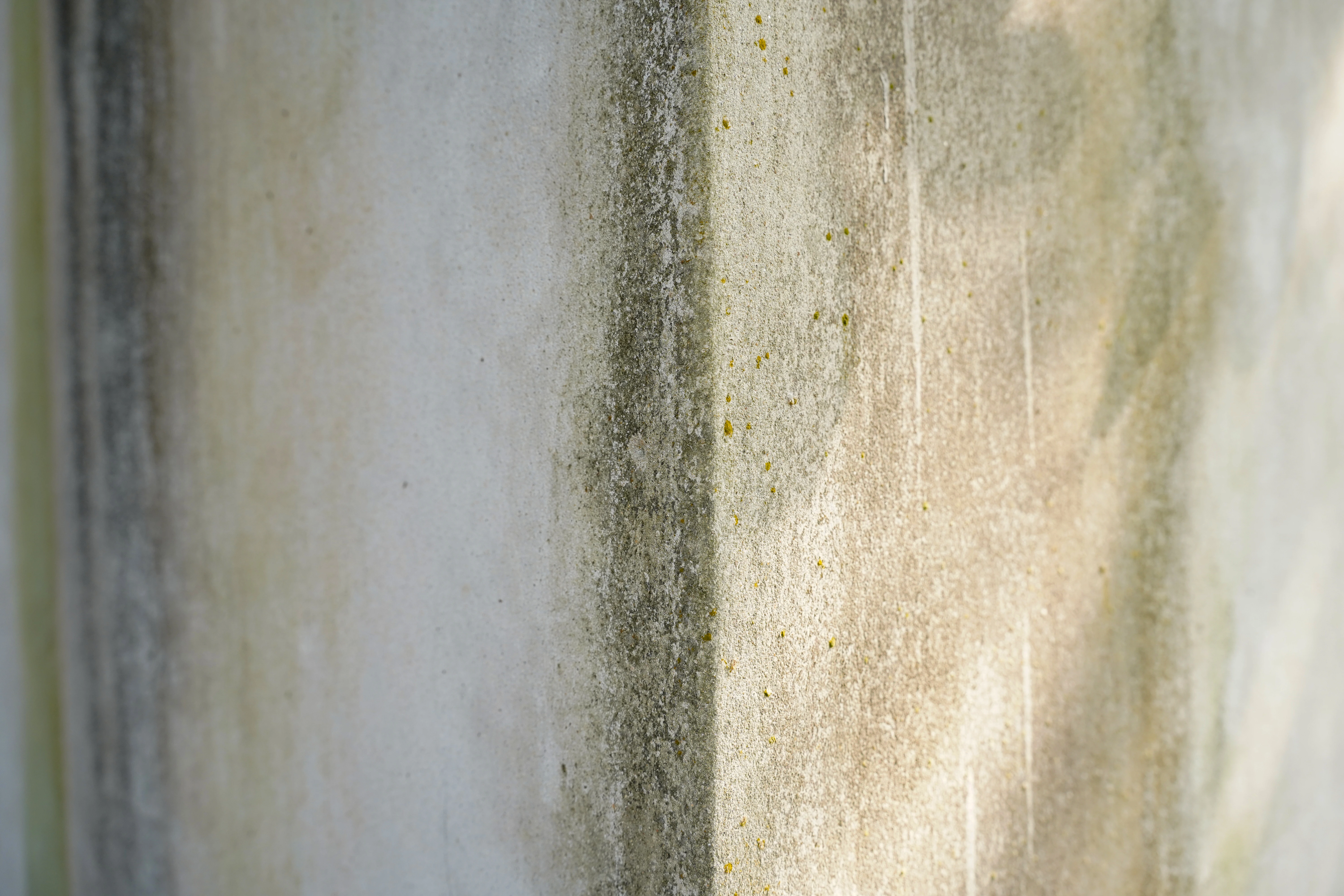 Mancha de humedad por filtración en techo y pared con pintura desprendida en una vivienda de Granada.