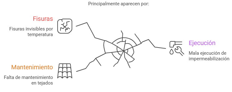 Infografía que detalla las tres causas principales de humedades: fisuras por temperatura, falta de mantenimiento en tejados y mala ejecución de la impermeabilización.