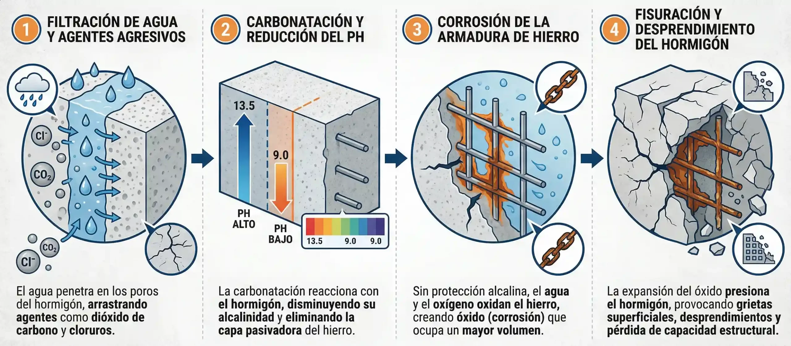 Infografía que muestra cómo la filtración de agua oxida la armadura de hierro del hormigón.